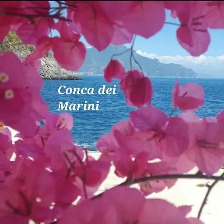 Apartament La Perla *