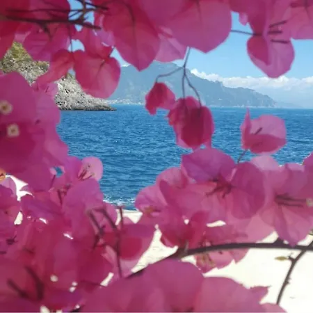 La Perla