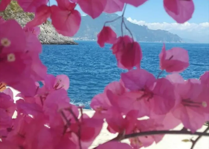 La Perla